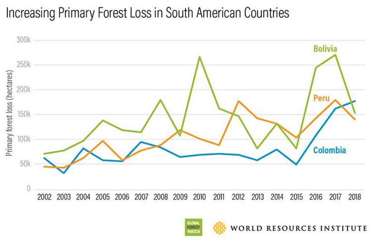 primary forest loss peru 2002 2018