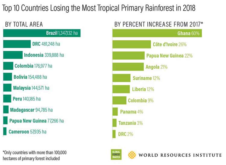 top 10 countries losing the most tropical primary rainforest 2018