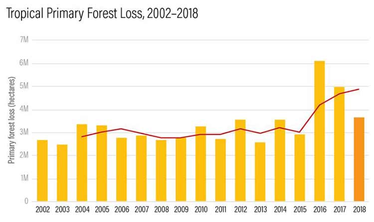 tropical primary forest loss 2002 2018