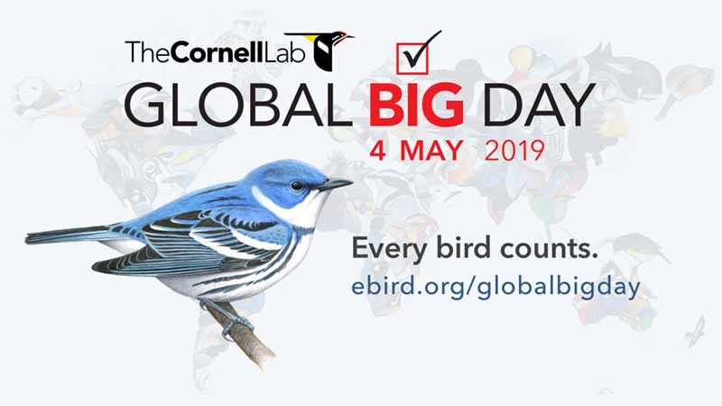global-big-day-2019-birding-competition-peru