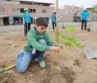 Planting trees in Lima as part of the &quot;Planta un arbol nace un vida&quot; campaign; photo: serpar