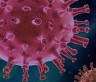 coronavirus-in-peru