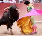 Bullfighting in Peru
