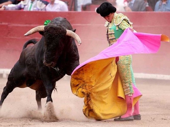 Bullfighting in Peru
