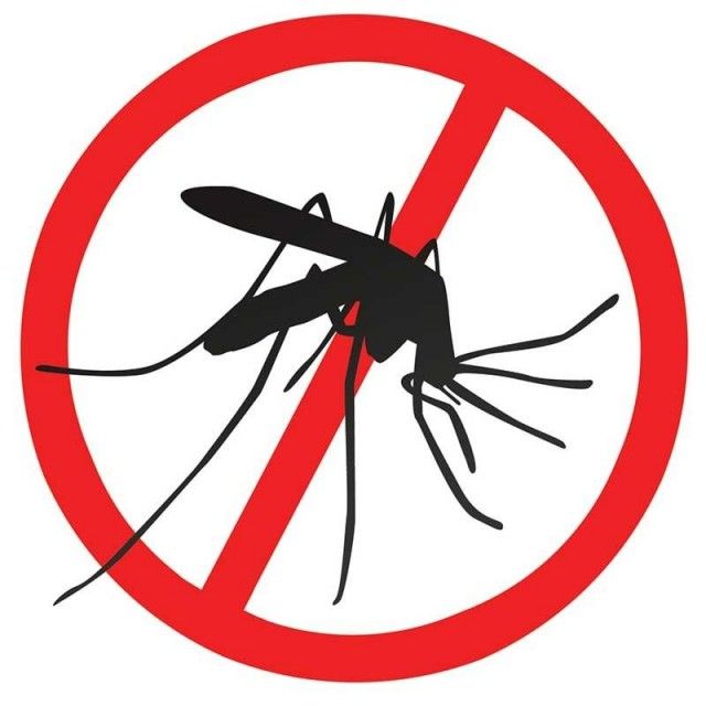 Danger of dengue fever in Lima?